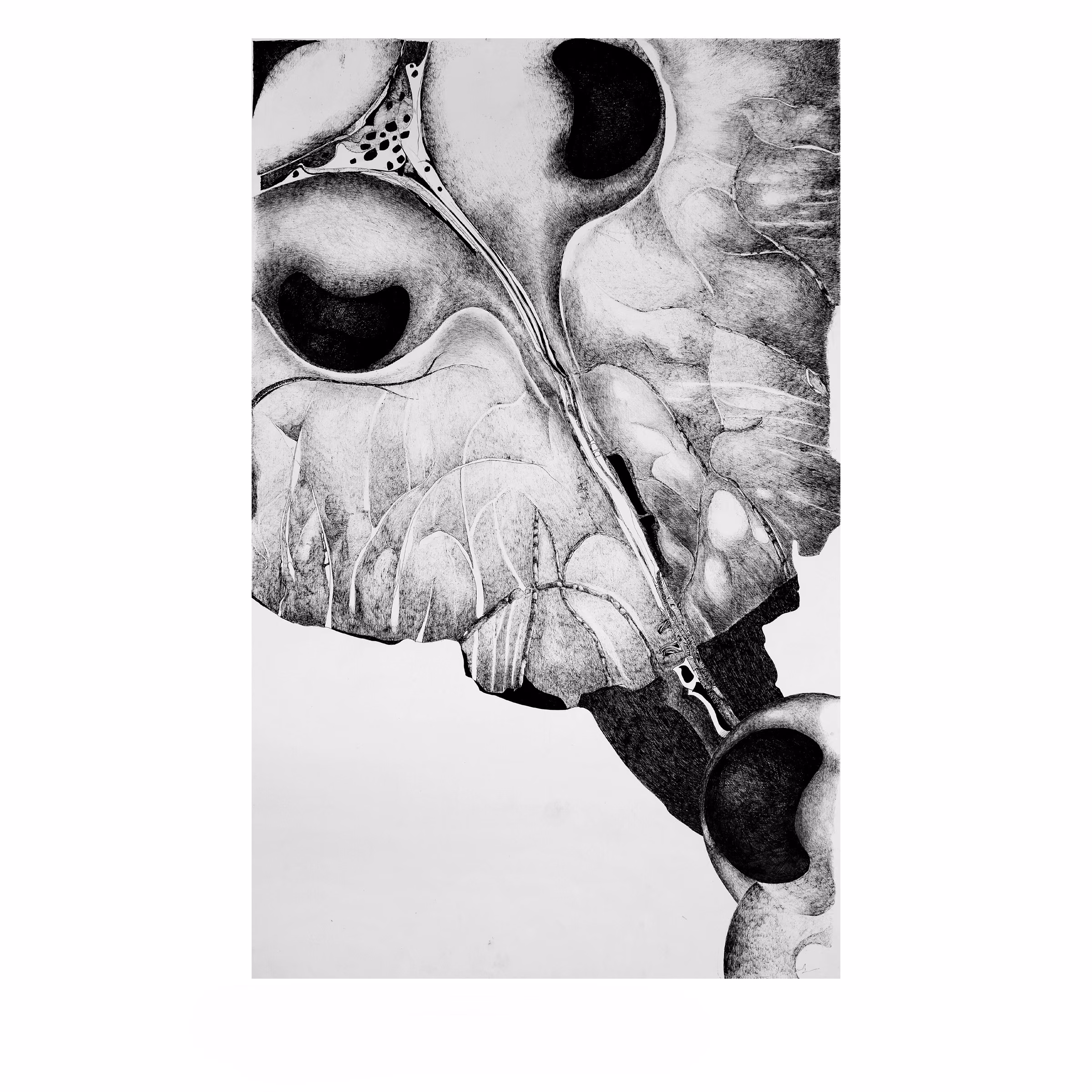 Artwork 1